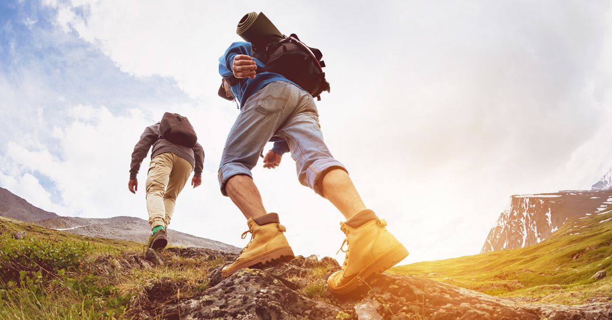 This is the brief section