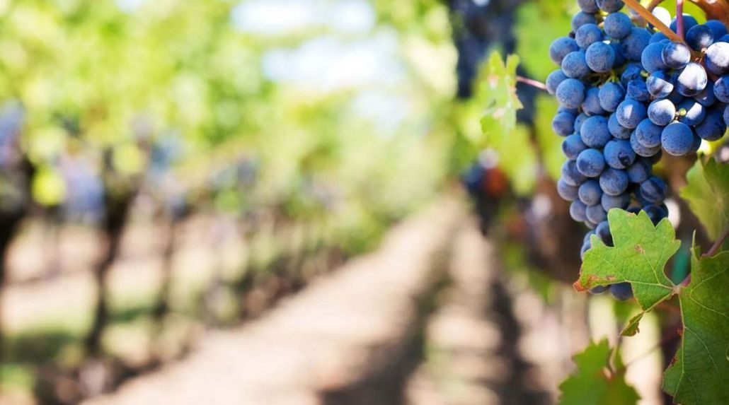 Give the Gift of Travel